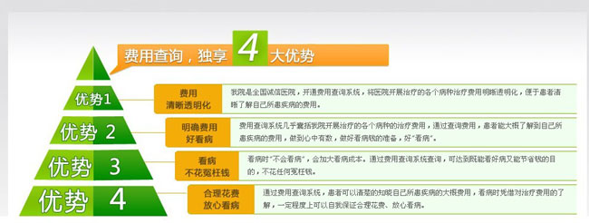 費(fèi)用(yòng)查詢